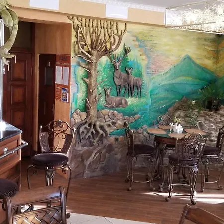 едем Skhidnytsia